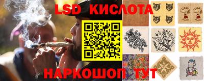 MDMA Шелехов