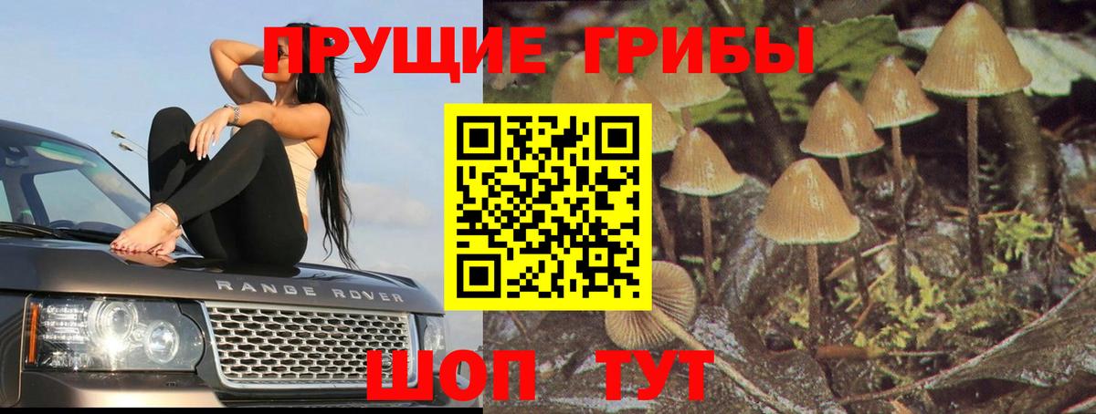 Псилоцибиновые грибы MAGIC MUSHROOMS  Вход с VPN  Галлюциногенные грибы Magic Shrooms  Лениногорск 